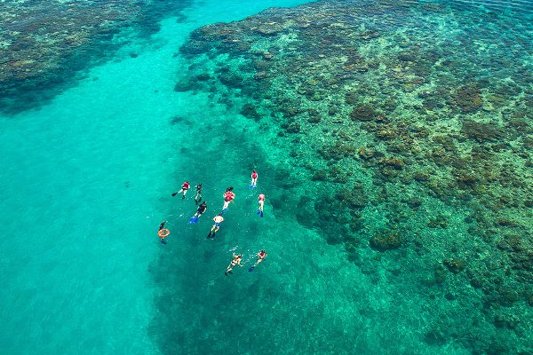 Cairns Premier Reef and Island Tours